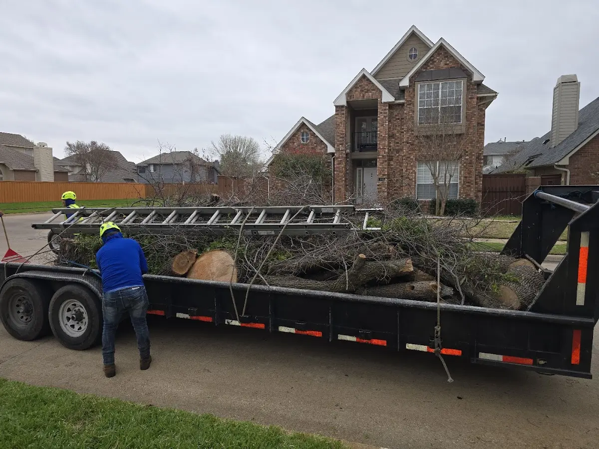 Expert Crown Reduction with proper safety equipment in Ankeny